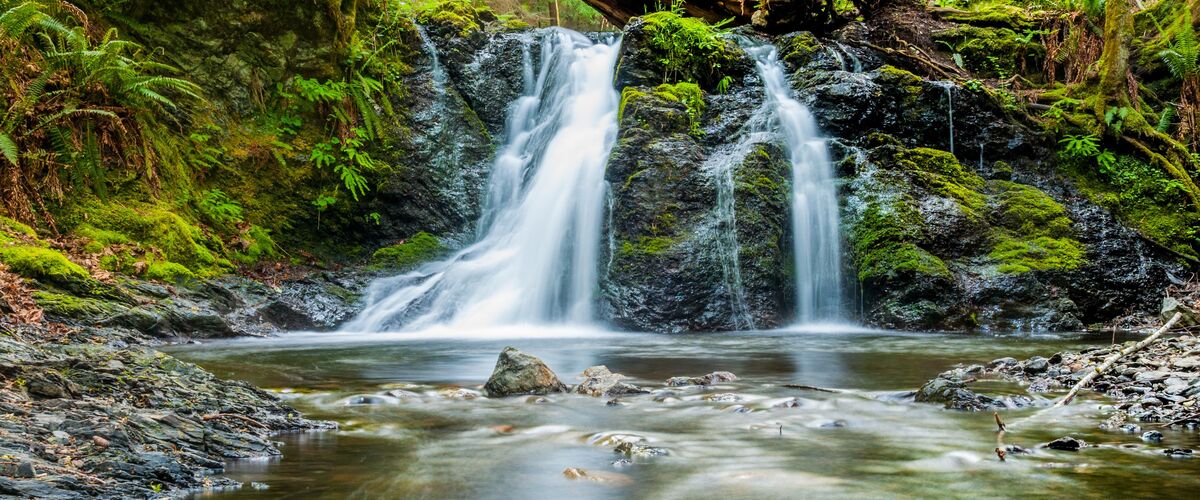 Waterfall in Forest